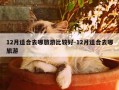 12月适合去哪旅游比较好-12月适合去哪旅游