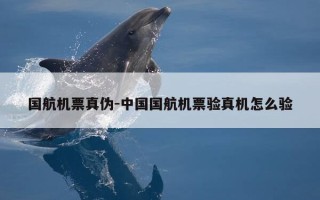 国航机票真伪-中国国航机票验真机怎么验