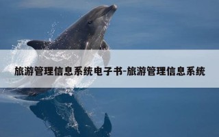 旅游管理信息系统电子书-旅游管理信息系统