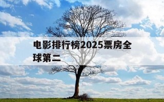 电影排行榜2025票房全球第二-2020全球电影票房榜前十名