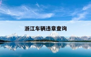 浙江车辆违章查询-浙江省车辆违章查询