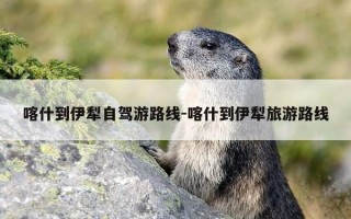 喀什到伊犁自驾游路线-喀什到伊犁旅游路线