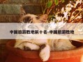 中国旅游胜地前十名-中国旅游胜地