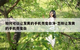 如何可以让发黄的手机壳变白净-怎样让发黄的手机壳变白