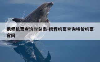 携程机票查询时刻表-携程机票查询特价机票官网