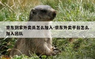 京东到家外卖员怎么加入-京东外卖平台怎么加入团队