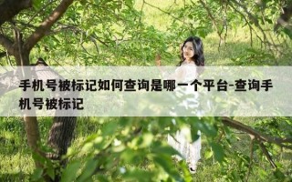 手机号被标记如何查询是哪一个平台-查询手机号被标记