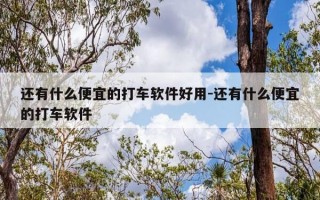 还有什么便宜的打车软件好用-还有什么便宜的打车软件