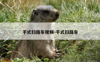 干式扫路车视频-干式扫路车