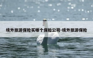 境外旅游保险买哪个保险公司-境外旅游保险