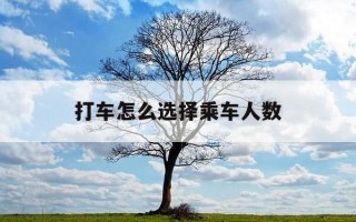打车怎么选择乘车人数-打车可以选择乘车人数吗