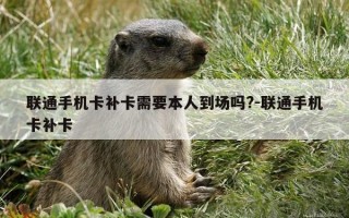 联通手机卡补卡需要本人到场吗?-联通手机卡补卡