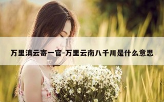 万里滇云寄一官-万里云南八千川是什么意思