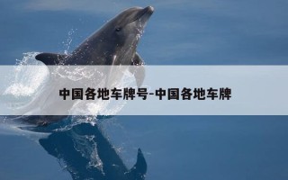 中国各地车牌号-中国各地车牌