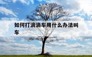 如何打滴滴车用什么办法叫车-怎样打滴滴车视频教程