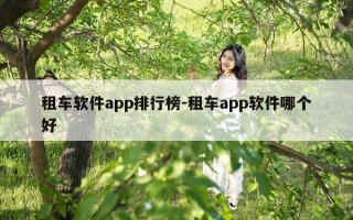 租车软件app排行榜-租车app软件哪个好