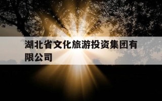 湖北省文化旅游投资集团有限公司-湖北省文化旅游投资集团有限公司李丽
