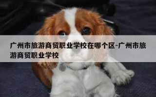 广州市旅游商贸职业学校在哪个区-广州市旅游商贸职业学校