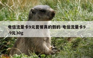 电信流量卡9元套餐真的假的-电信流量卡9.9元30g