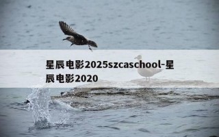 星辰电影2025szcaschool-星辰电影2020