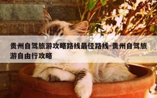 贵州自驾旅游攻略路线最佳路线-贵州自驾旅游自由行攻略