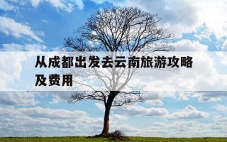 从成都出发去云南旅游攻略及费用-成都自驾去云南