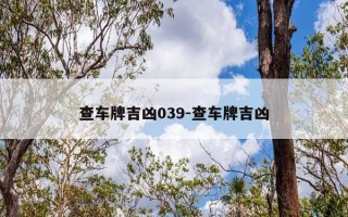 查车牌吉凶039-查车牌吉凶