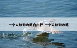 一个人旅游攻略自由行-一个人旅游攻略
