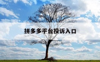 拼多多平台投诉入口-拼多多平台投诉入口在哪里
