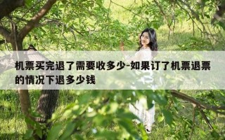 机票买完退了需要收多少-如果订了机票退票的情况下退多少钱