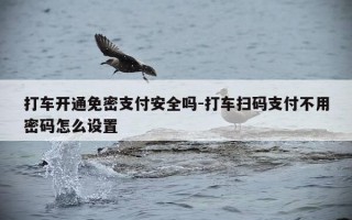 打车开通免密支付安全吗-打车扫码支付不用密码怎么设置