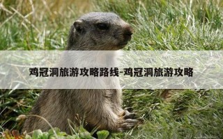 鸡冠洞旅游攻略路线-鸡冠洞旅游攻略