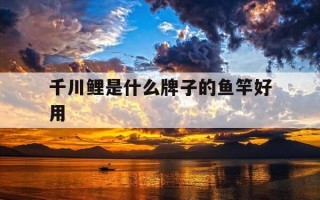 千川鲤是什么牌子的鱼竿好用-千川鲤鱼竿价格表图片