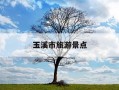 玉溪市旅游景点-玉溪市旅游景点介绍