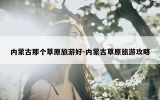内蒙古那个草原旅游好-内蒙古草原旅游攻略