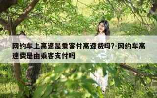 网约车上高速是乘客付高速费吗?-网约车高速费是由乘客支付吗