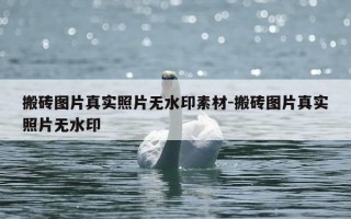 搬砖图片真实照片无水印素材-搬砖图片真实照片无水印