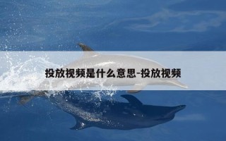 投放视频是什么意思-投放视频