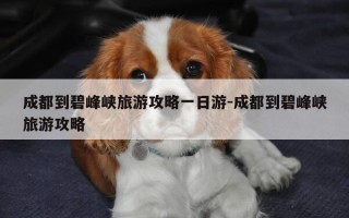 成都到碧峰峡旅游攻略一日游-成都到碧峰峡旅游攻略