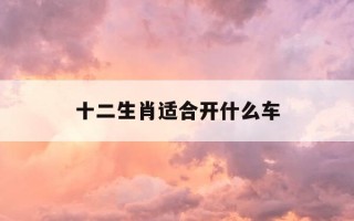 十二生肖适合开什么车-十二属相适合开什么车最旺财