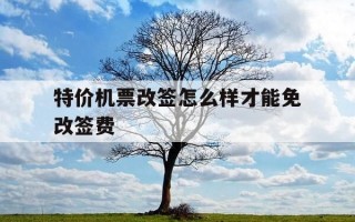 特价机票改签怎么样才能免改签费-特价机票改签需要手续费吗?