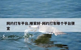 网约打车平台,哪家好-网约打车哪个平台便宜