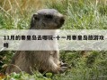 11月的秦皇岛去哪玩-十一月秦皇岛旅游攻略