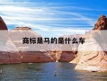 商标是马的是什么车-有个马的商标是什么车
