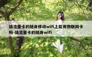 插流量卡的随身移动wifi上能用物联网卡吗-插流量卡的随身wifi
