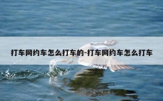 打车网约车怎么打车的-打车网约车怎么打车