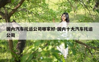 国内汽车托运公司哪家好-国内十大汽车托运公司