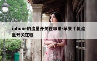iphone的流量开关在哪里-苹果手机流量开关在哪