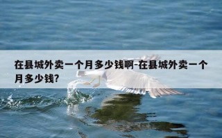 在县城外卖一个月多少钱啊-在县城外卖一个月多少钱?