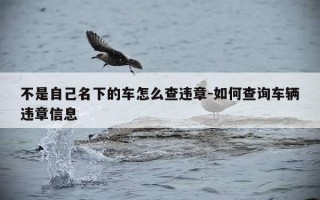 不是自己名下的车怎么查违章-如何查询车辆违章信息